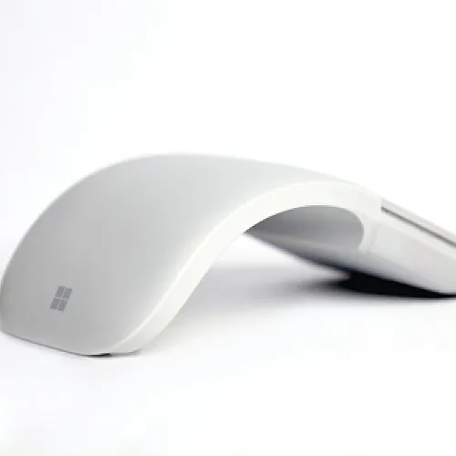 Mouse model 22
